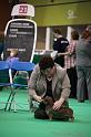 Crufts2011_2 1430